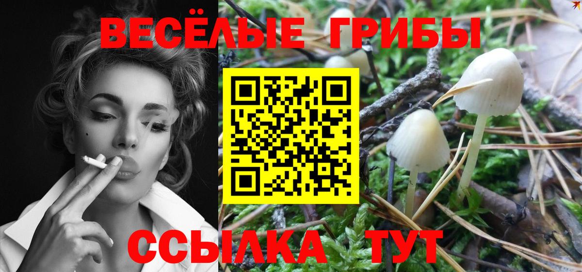 Галлюциногенные грибы прущие грибы  Вход с VPN  Галлюциногенные грибы Psilocybe  Кохма 