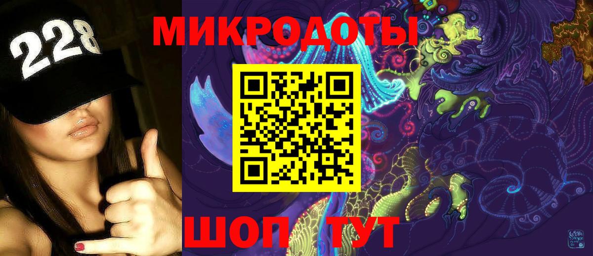 Псилоцибиновые грибы Psilocybine cubensis Кохма